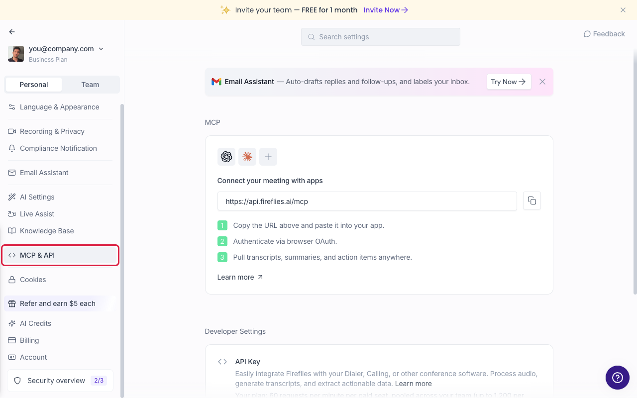 Developer settings page with the API key field