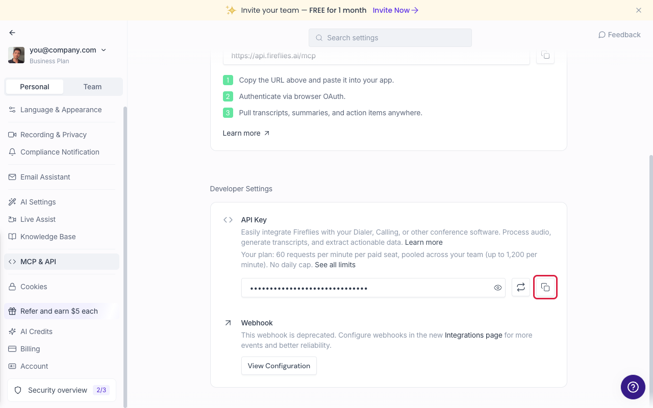 API key field with copy button, key blurred